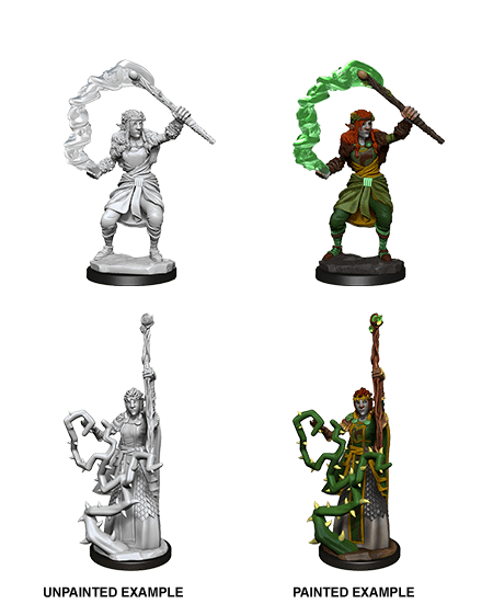 D&D Nolzur's Marvelous Miniatures: Male Human Druid